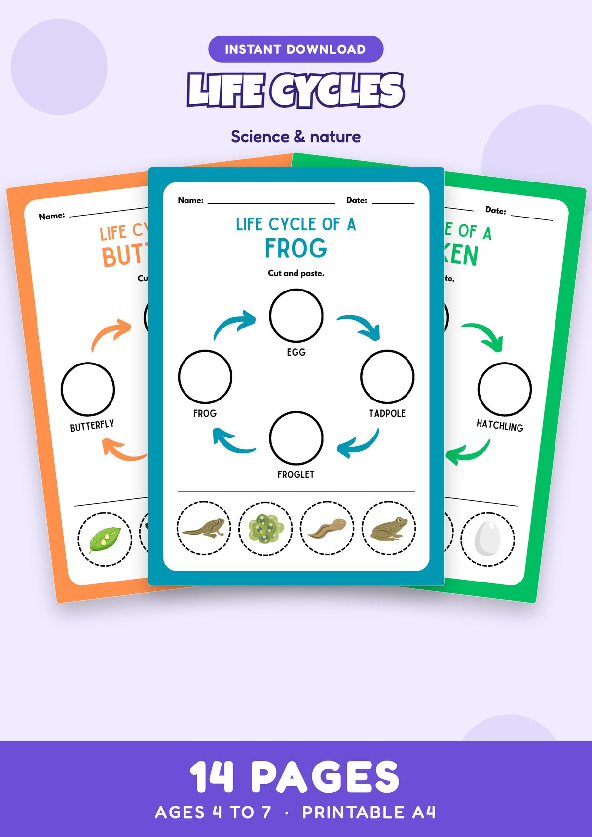Life Cycles: Animals and Plants preview
