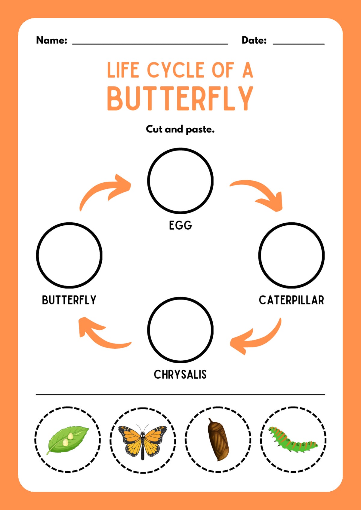 Life Cycles: Animals and Plants preview