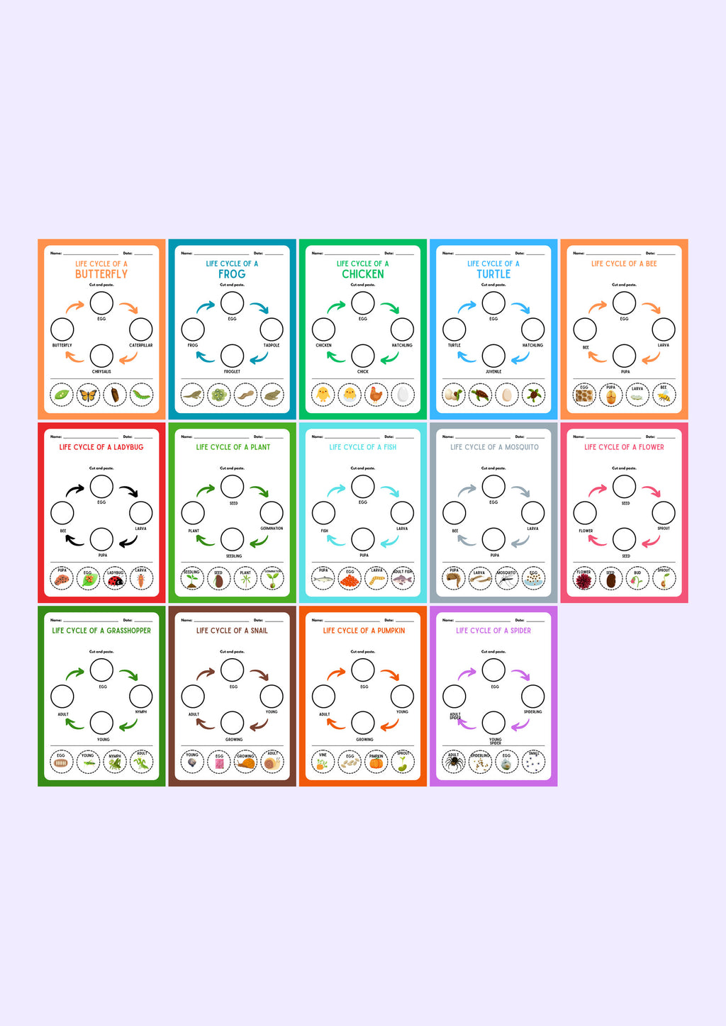 Life Cycles: Cut and Paste Science — every page in the pack
