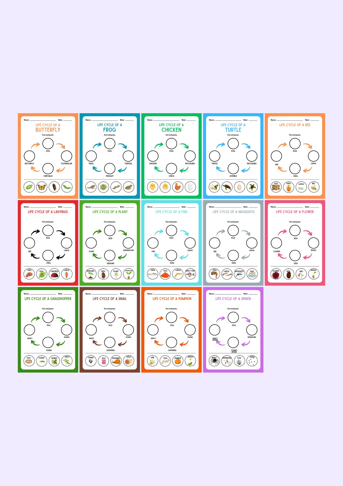 Life Cycles: Cut and Paste Science — every page in the pack